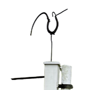 Bird with Sickle Tail