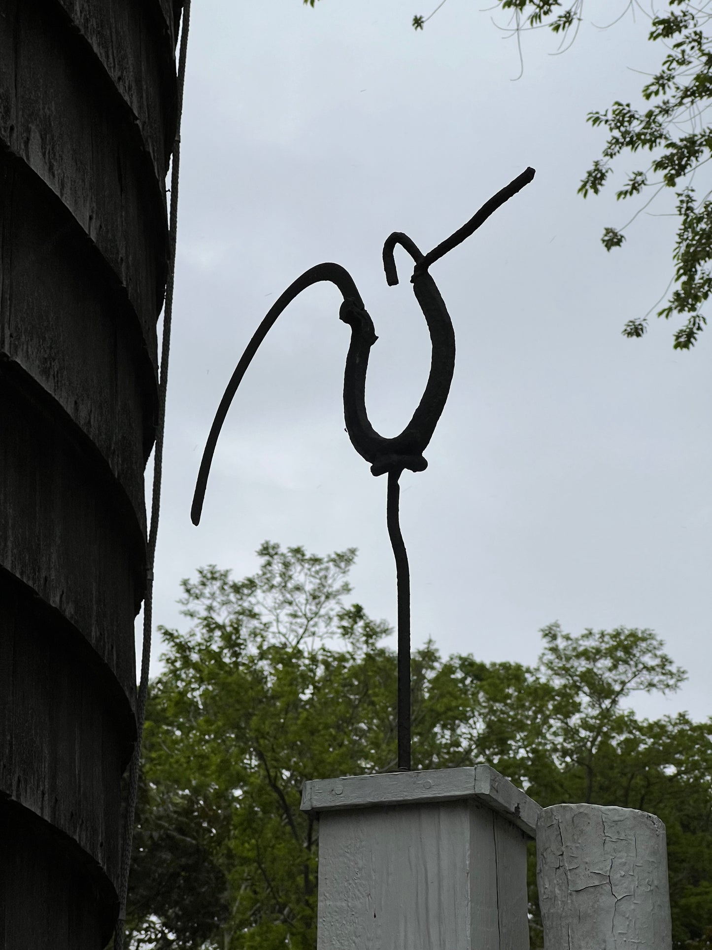 Rooster with Sickle Tail